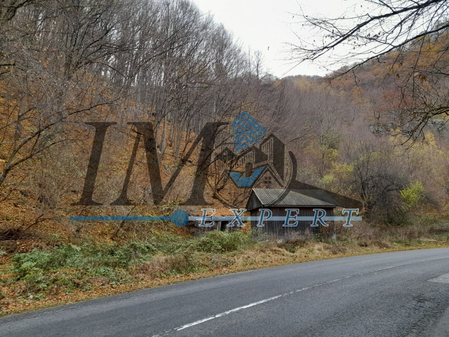 Teren extravilan direct la șoseaua TRANSALPINA - Poză 2