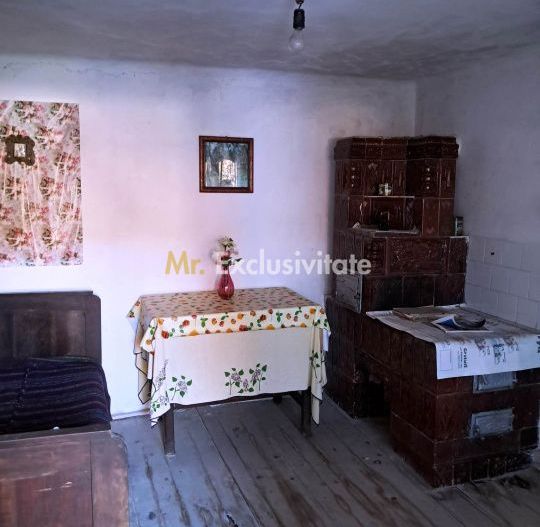Casă și teren de vânzare Polovragi - Racovița - Poză 8