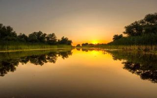 Oportunitate de investitie| Delta Dunarii |Mila 23| pensiune activa - Poză 4