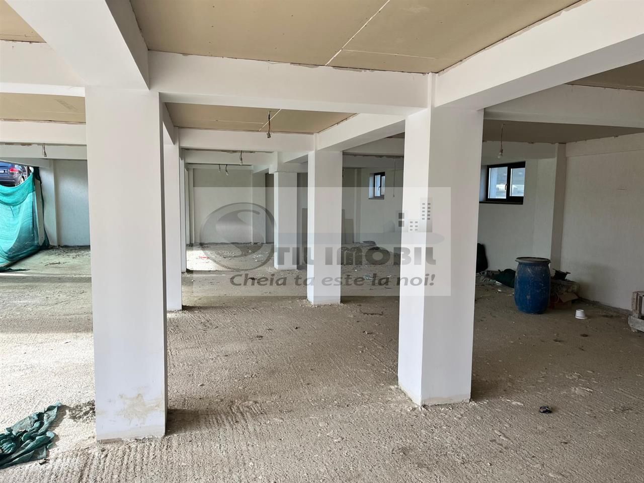 Spatiu comercial prin destinatie - 176mp - bucium - visan - Poză 5