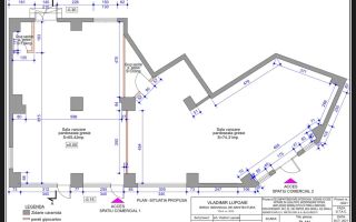 INVESTIȚIE ULTRACENTRAL BRĂILA – 2 SPAȚII COMERCIALE CU CHIRIAȘI - Poză 8