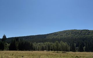 SUPER OCAZIE  - Teren intravilan, COMANDAU-PUZ case de vacanta. - Poză 7