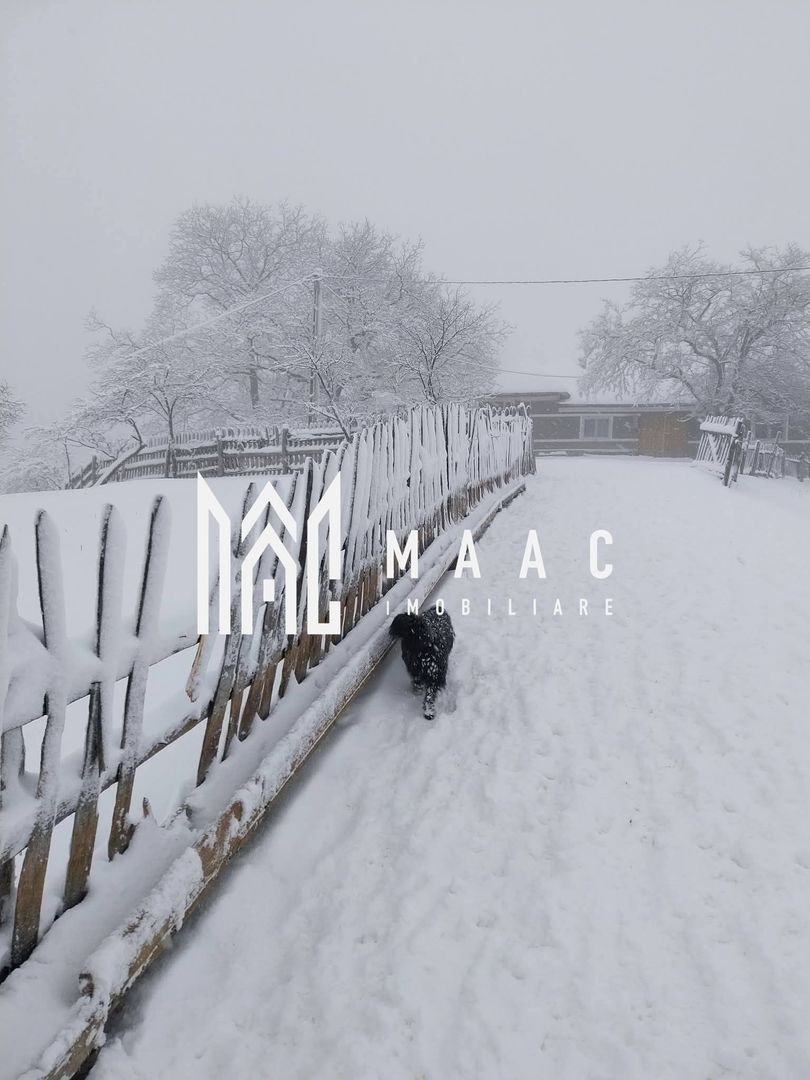 Proprietate cu 60000 mp pamant la pret de apartament - Poză 2