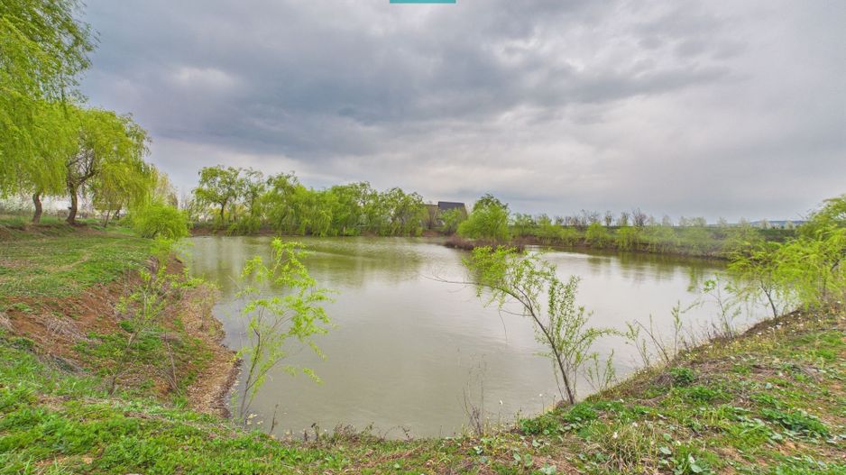 Teren 1 ha cu baltă populată – Alioș (Mașloc) - Poză 3