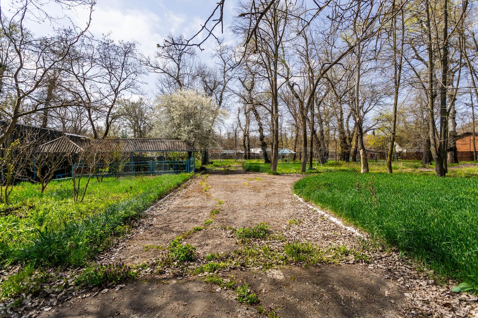 Vânzare, teren, 1.04 ha, Vadul lui Vodă - Poză 3