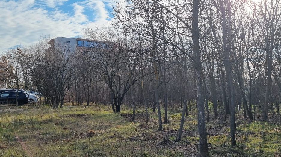 Teren Forma Ideala-Doua Deschideri-Urbanism - Poză 3