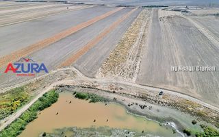 Teren agricol, 5HA, comasat, drum acces, Cateasca - Poză 8