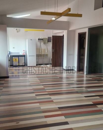 Vila P+2, suprafata 380 mp, Principatele Unite, Piata Unirii - Poză 6