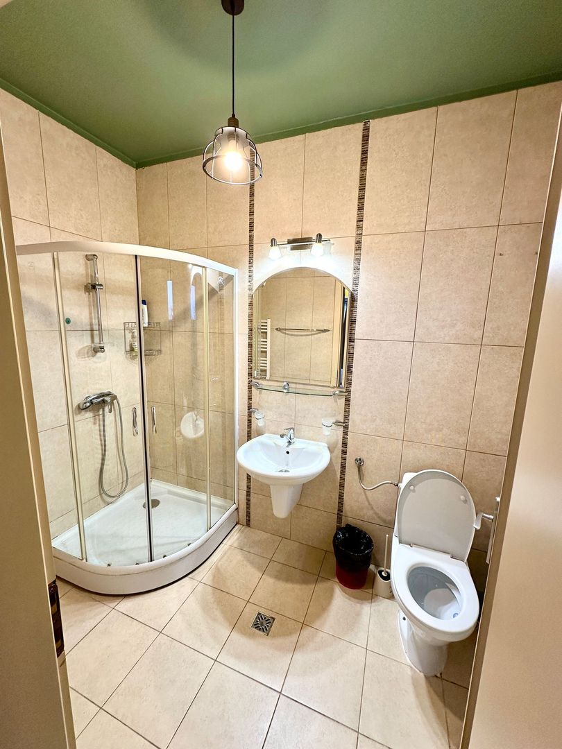 Inchiriere apartament 3 camere, zona C. Brancusi - Poză 13