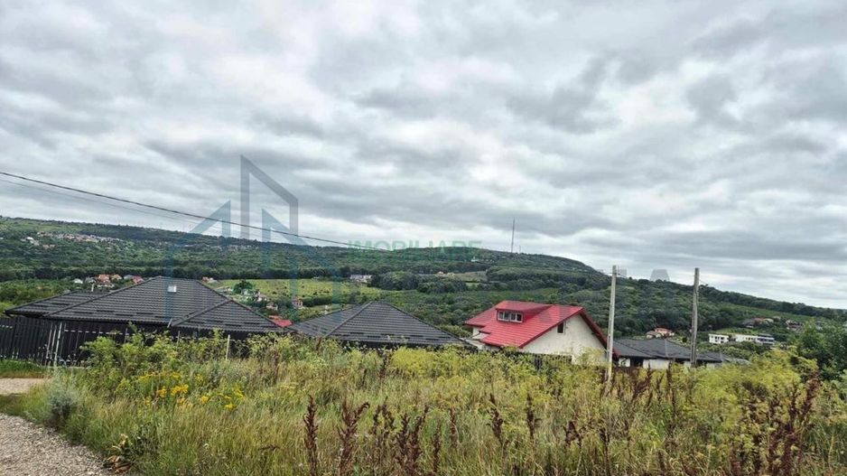 Vând Teren Vișan Bîrnova intravilan - Poză 1