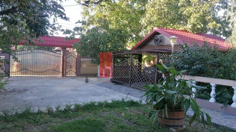 Dascalu-lfov-Vila D+P+M-5 camere-Locatie Deosebita - comision 0 - Poză 17