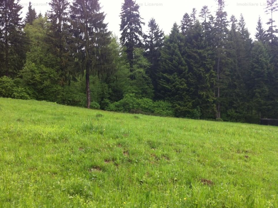 Teren intravilan Cotul Donului,pretabil Hotel/pensiune. - Poză 1