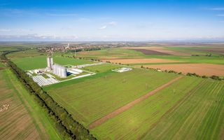 Teren de 104000 mp în Vinga - Poză 5