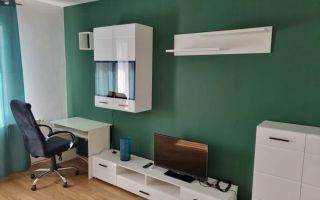 Apartament modern cu 2 camere de inchiriat, CENTRALA PROPRIE, Gorjului - Poză 2