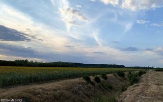 Tamasi, langa padure, 12.824 mp, deschidere 45 ml, teren cu potential - Poză 10