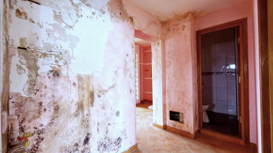 Apartament 3 camere Colentina Doamna Ghica - Poză 19