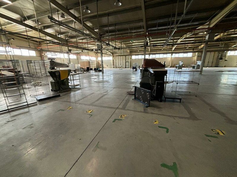 Hala 5000 mp dotata pentru productie si depozitare ISU categoria D - Poză 8