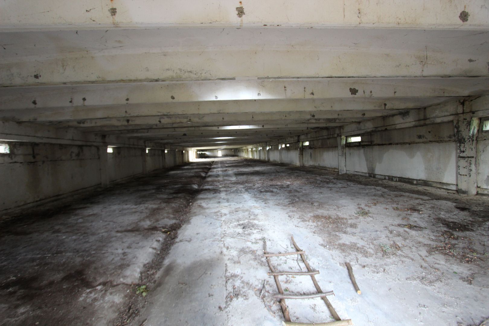 Vanzare hale Mosnita Noua-fosta Ferma 7 - Poză 28