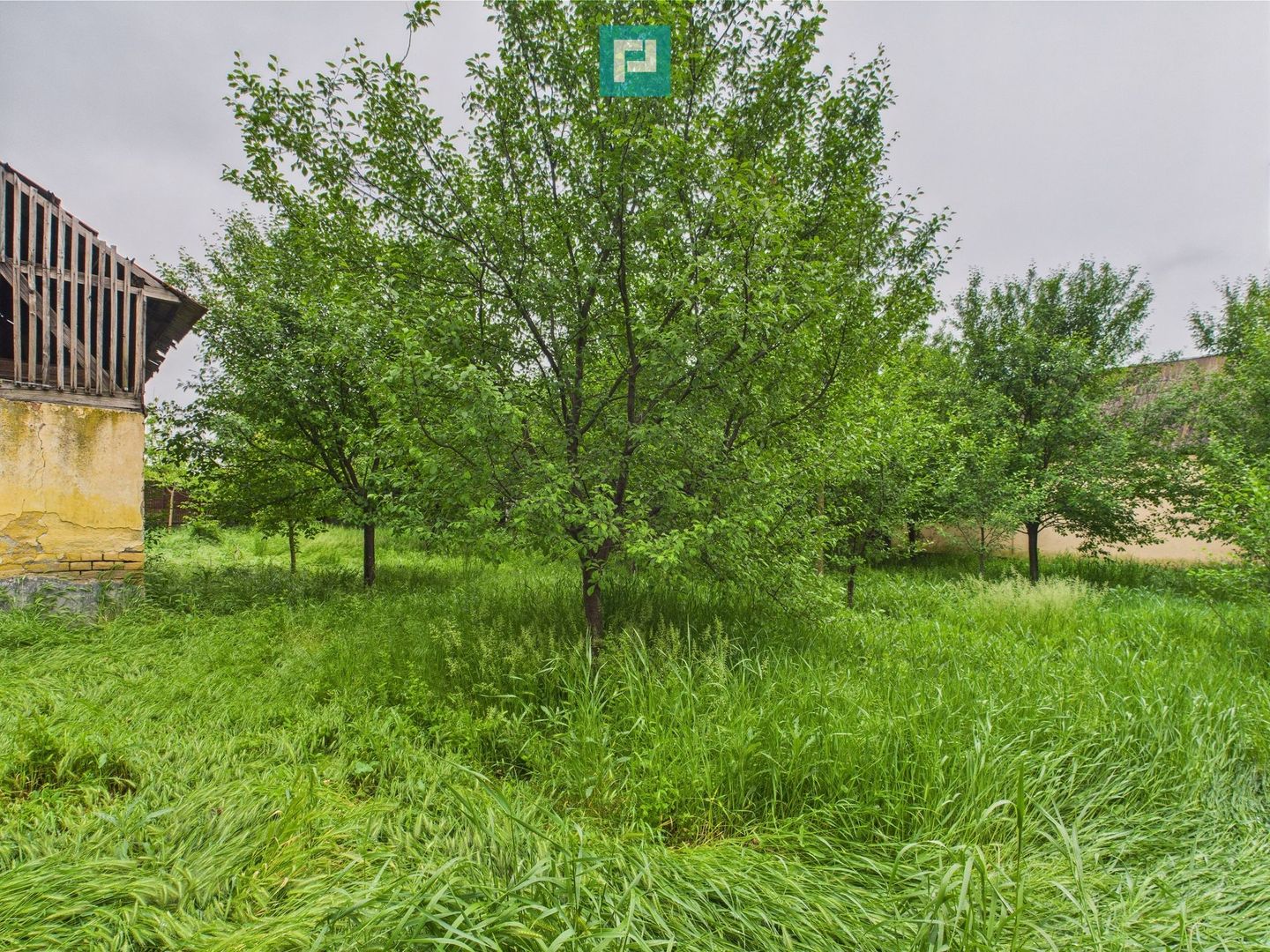 Casă de reabilitat pe teren generos- Comuna Variaș - Poză 12