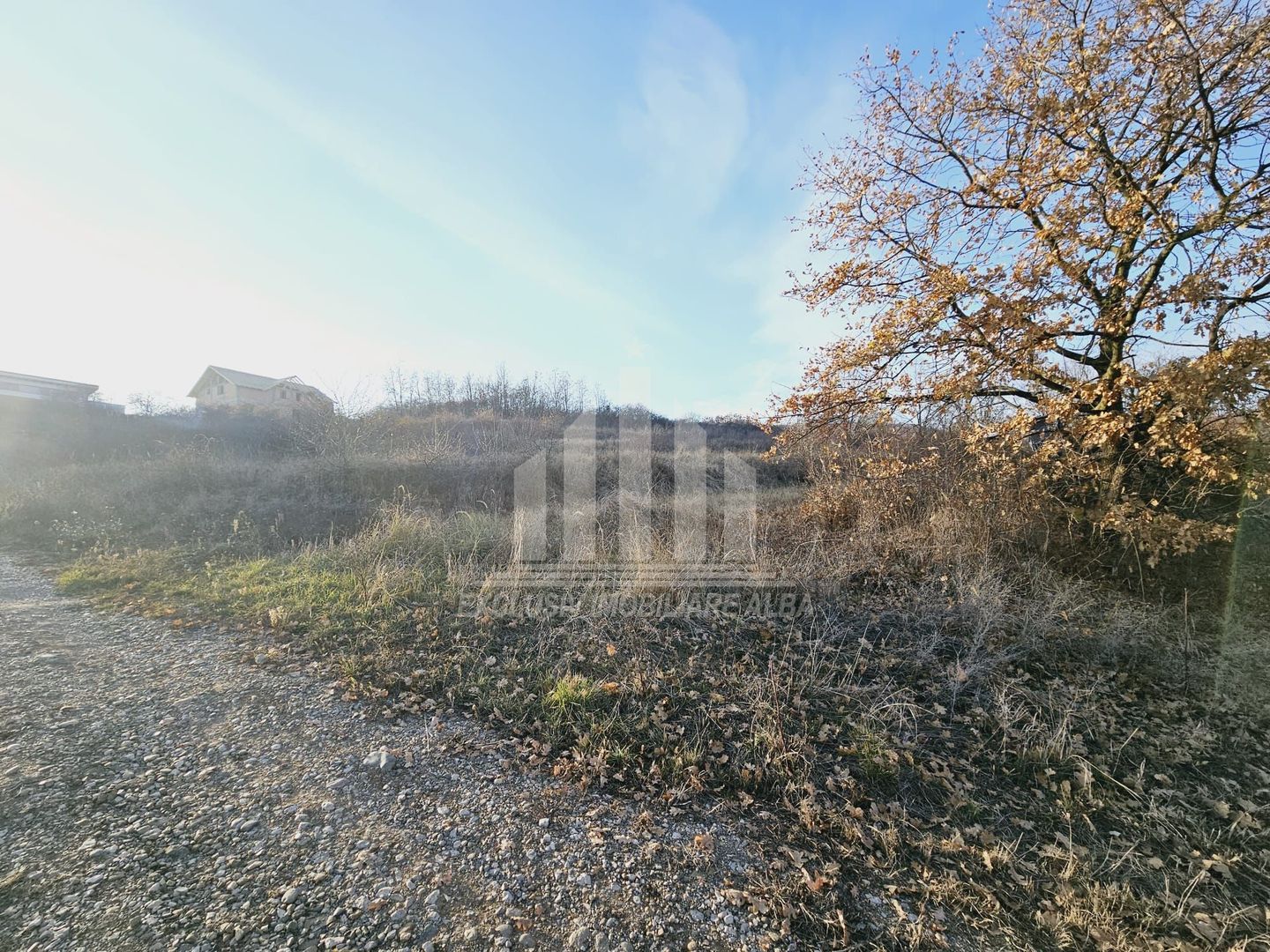 Teren intravilan de vanzare, Cetate - Poză 2