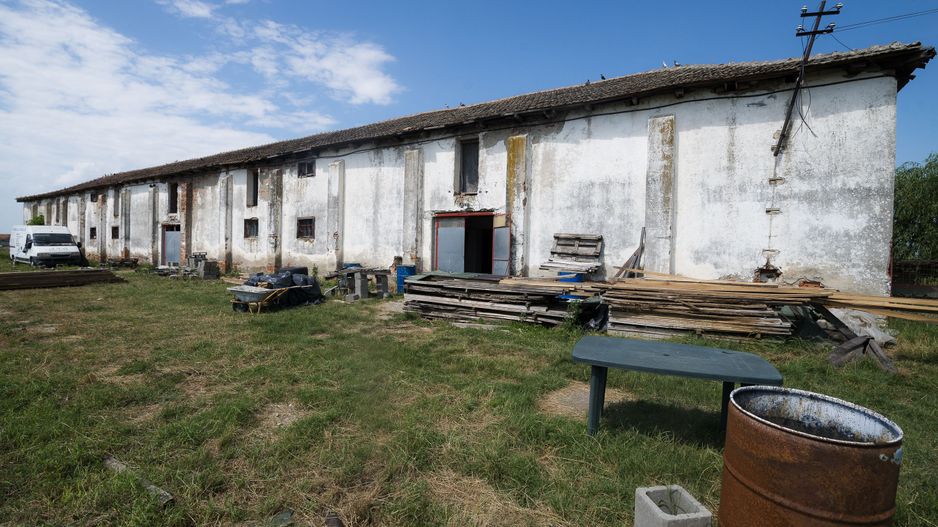 Oportunitate de investiție în localitatea Zărand - Poză 7