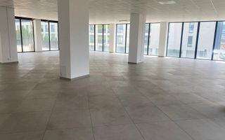 Spatiu comercial, Cartier Dambul Rotund, Lombului, Corneliu Coposu. - Poză 4