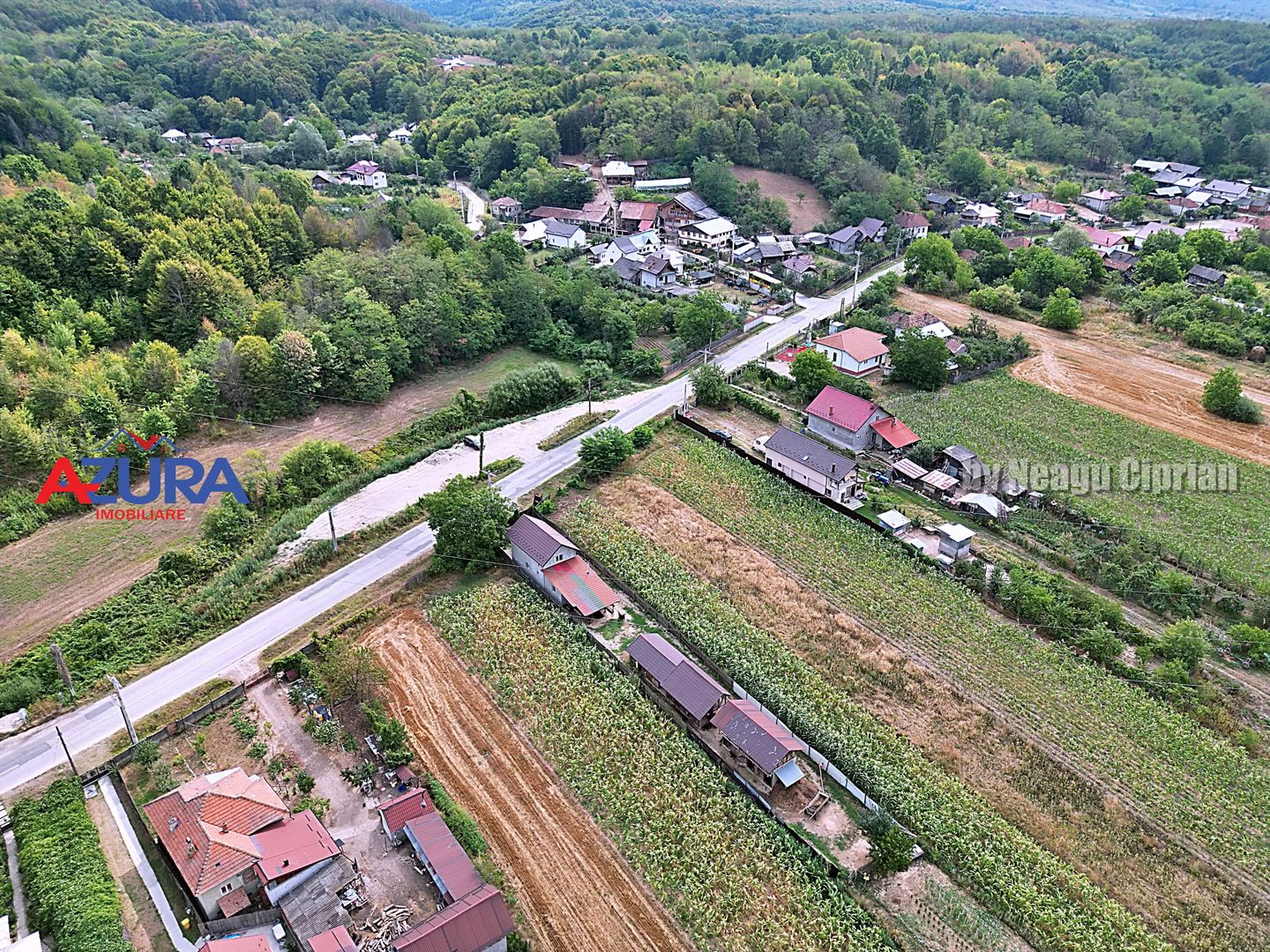 AZURA Imobiliare - Teren Budeasa Galasesti Calotesti - Poză 16