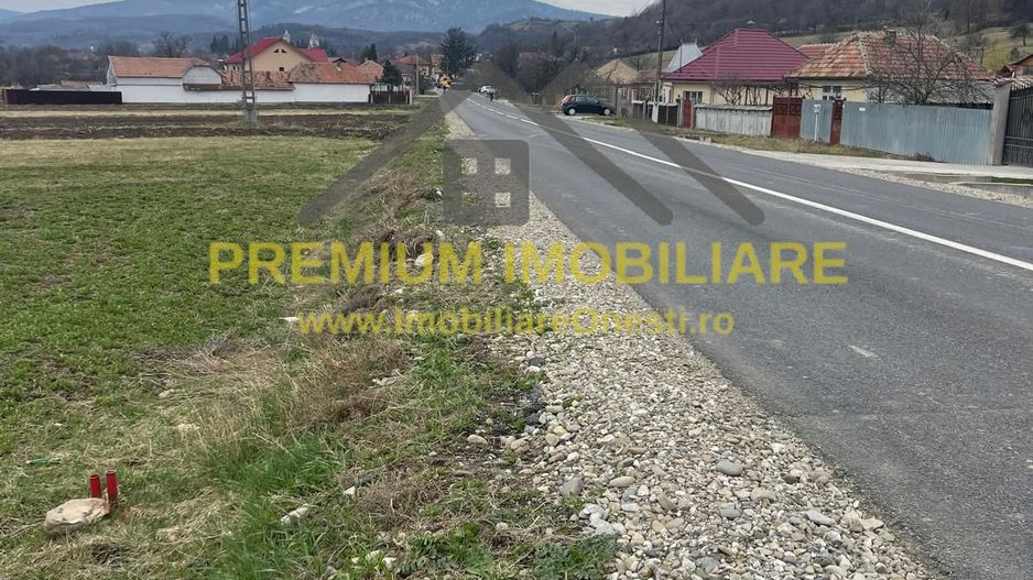 Vânzare teren 3145 mp – Mănăstirea Cașin, Onești - Poză 2