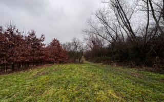 Teren intravilan | 30 ari | front stradal 50 m | investitie ideala | Mocira. - Poză 2