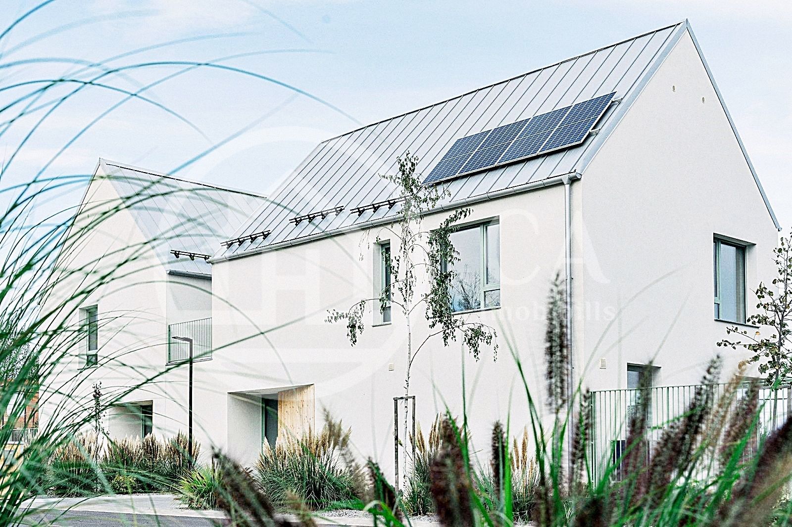 Casa de vanzare cu 5 camere in Paleu, Bihor - Poză 7