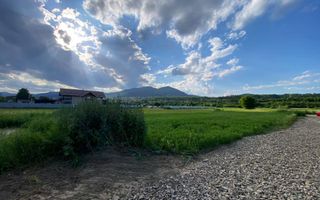 Teren de vanzare Alexandru cel Bun 20.000 Euro 735mp - Poză 4