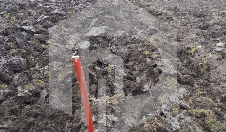 Teren de Vanzare - Gusterita - 5100mp - Intravilan - 0% Comision - Poză 6