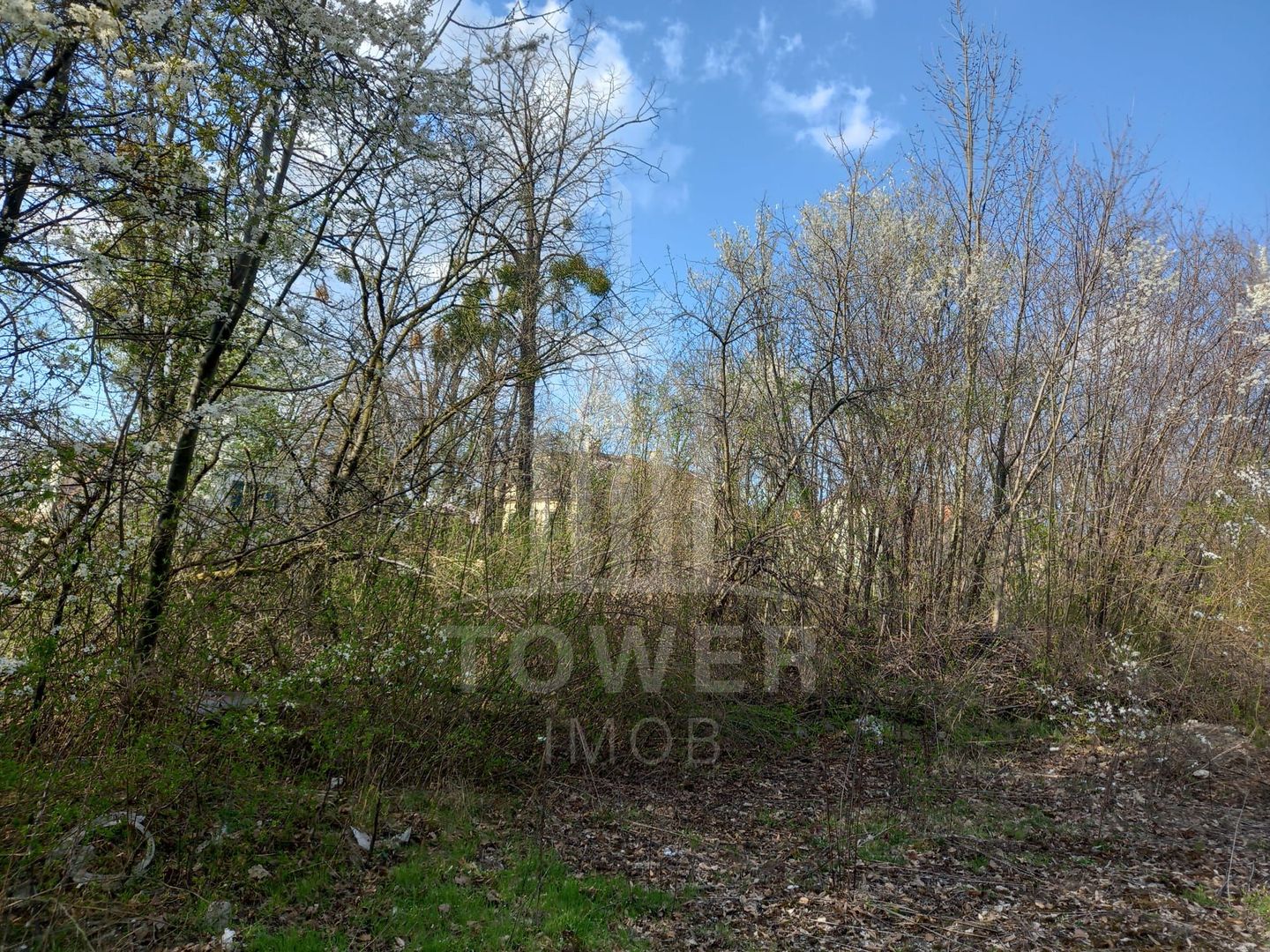 Teren Intravilan 5.147mp | Zonă rezidențială | B-dul Victoriei - Poză 5