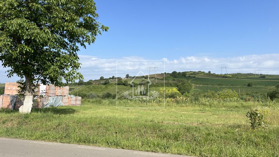 Teren de vanzare iesirea din Sura Mare spre Hamba/Casă single/duplex - Poză 2