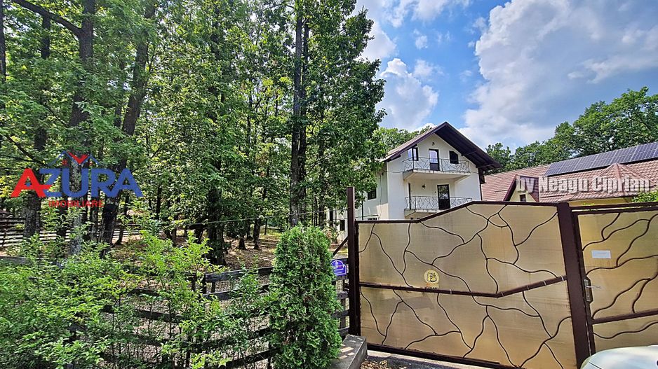 Casă de vacanță în pădure, 10 km de Pitești - Babana - Poză 13