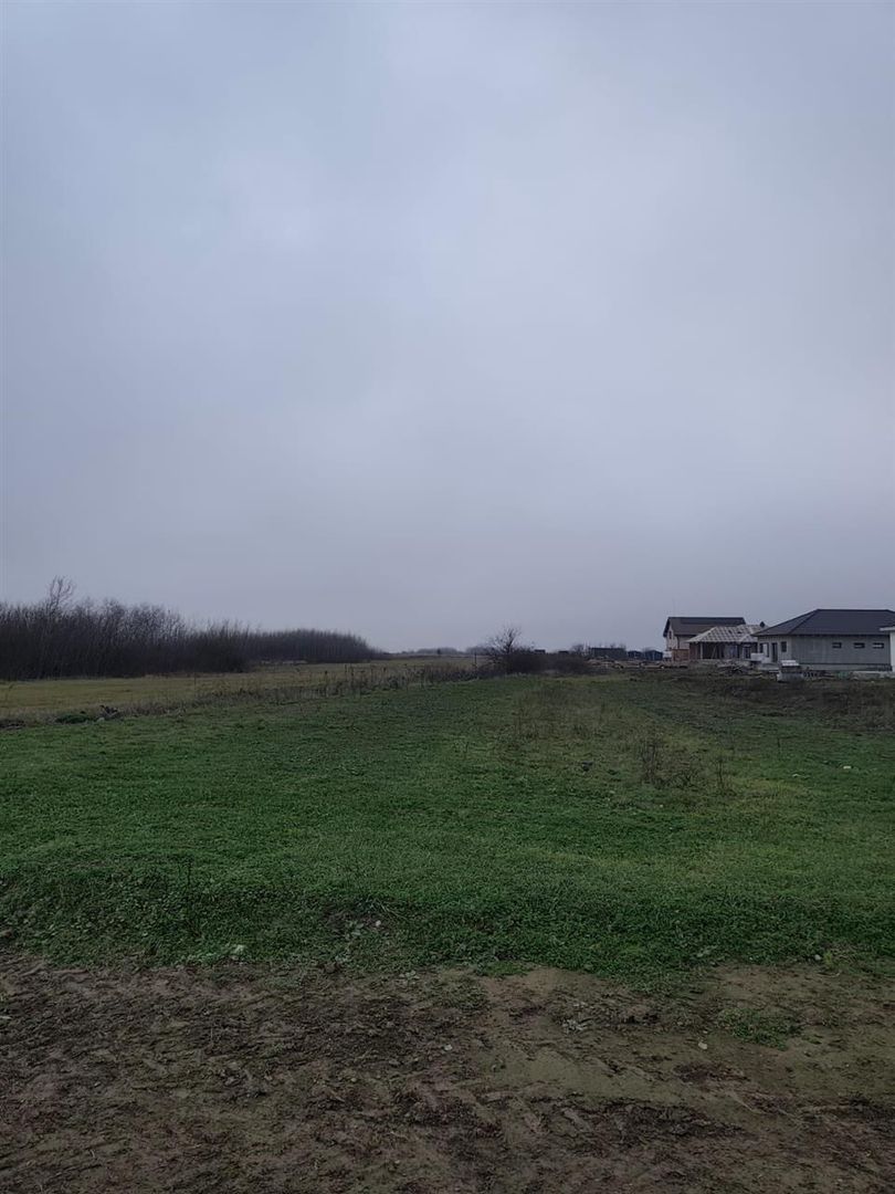 Teren intravilan in Cihei - Poză 1