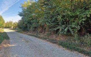Teren 2121 mp în Topoloveni, - str. Inuri - Poză 9