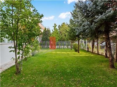 Inchiriere  Vila  Erou  Iancu de Nicolaie - Jolie Ville - Poză 2