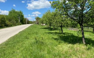 Teren premium 1000 mp-Sibiel - Poză 6