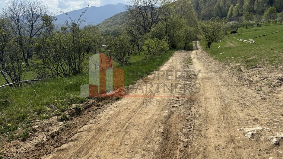 Terenuri Bran - Predelut  Priveliște către Bucegi și Postăvaru - Poză 8