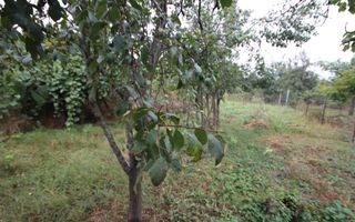 Teren de vânzare - 1900 mp Dumbravita - Poză 1