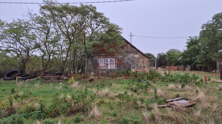 Teren 910 mp cu casa veche – Seceani - 30 km de Timișoara - Poză 2