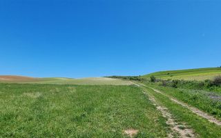 Teren 1500mp intravilan, Oarda De Sus - Poză 2