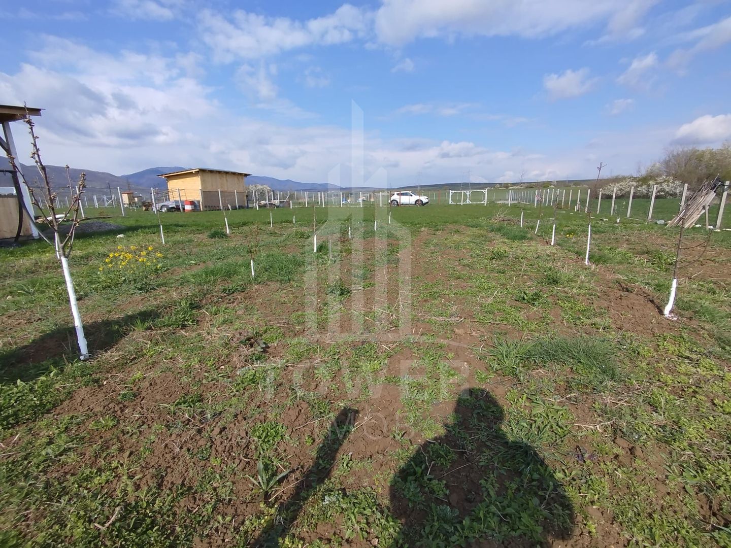 Grădină 862 mp cu cabanuta și pomi fructiferi – între Tălmaciu și Sadu - Poză 2