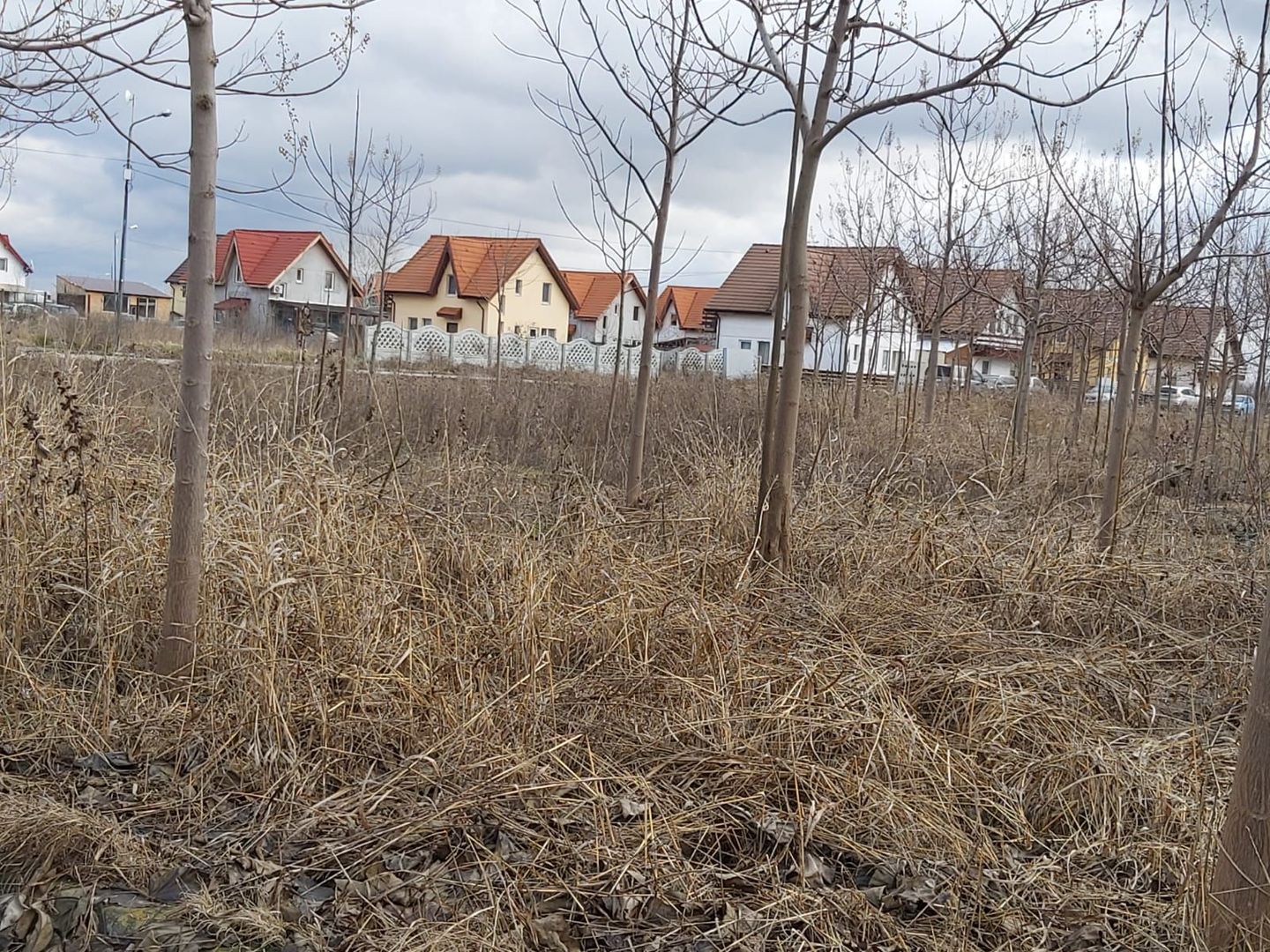 Loturi de teren pentru constructii de case in Paradise Valey - Poză 7