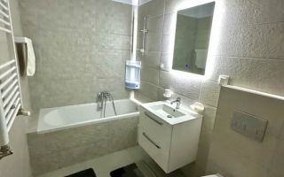 Apartament 2 camere de inchiriat Drumul Taberei - Poză 3