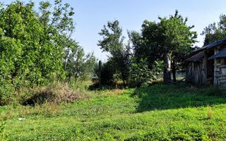 Casa la tara de vanzare, teren mare, 2 intrari auto - Calea Mare, Biho - Poză 17