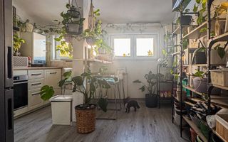 Apartament 2 camere - Domenii, etaj 2/2, centrala noua, curte, boxă, pod. - Poză 6