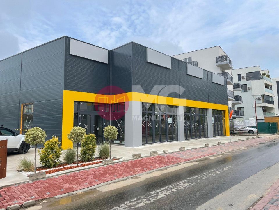 Theodor Pallady, spatii comerciale de vanzare - Poză 2