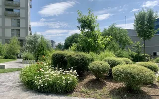 2 camere I Complex  Aviatiei Park I Etaj 2 I 2020 - Poză 14